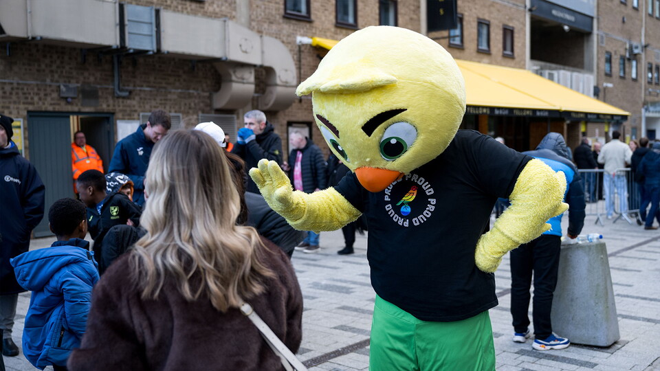 captain canary