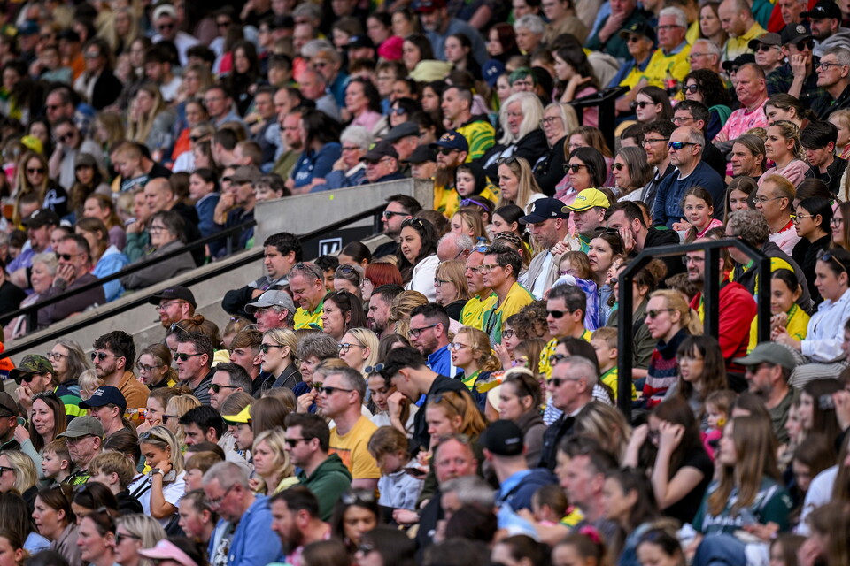 Norwich City fans at a women's team Carrow Road match 