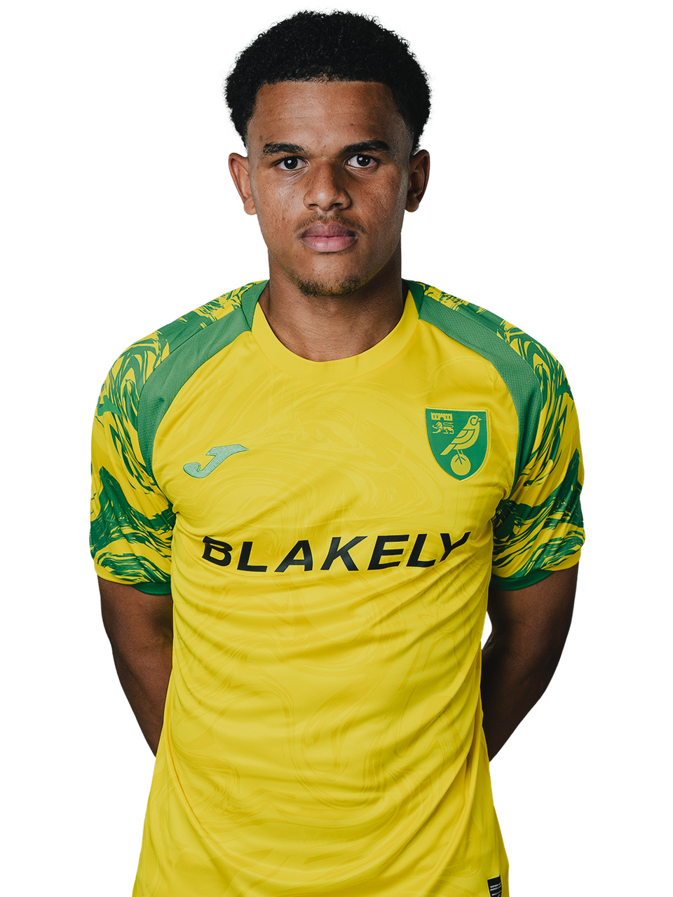 Sinclair-Brown