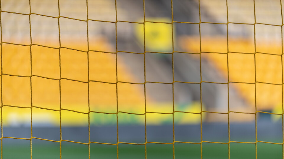Goal net