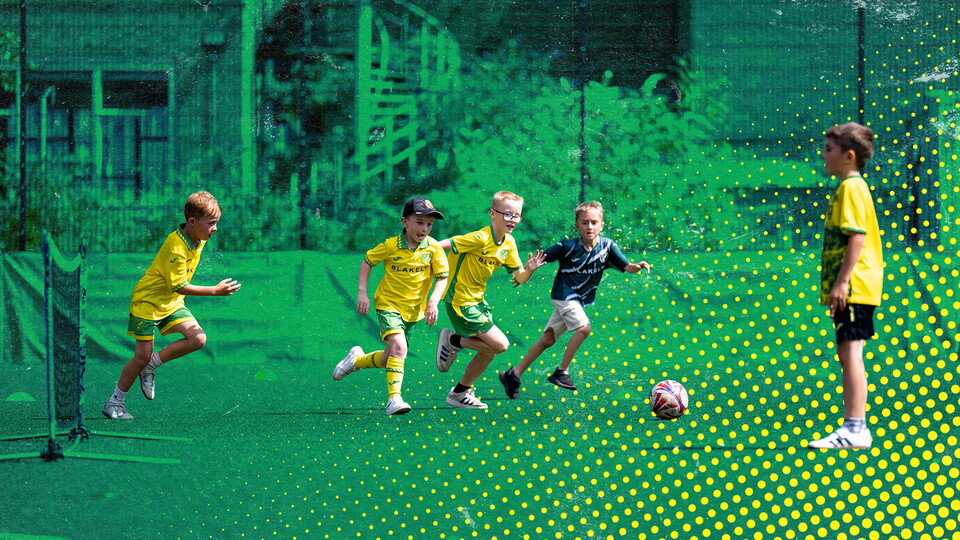 Junior Canaries