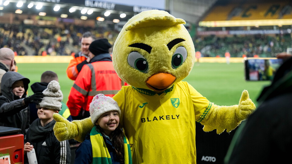 Junior Canaries