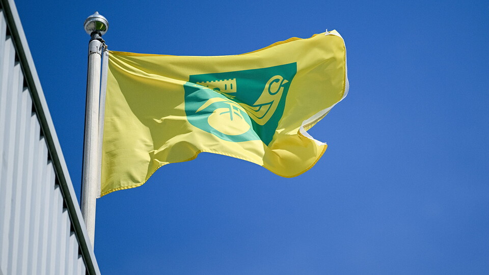 norwich city flag