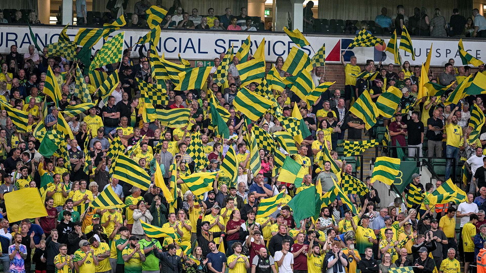 fans with flags