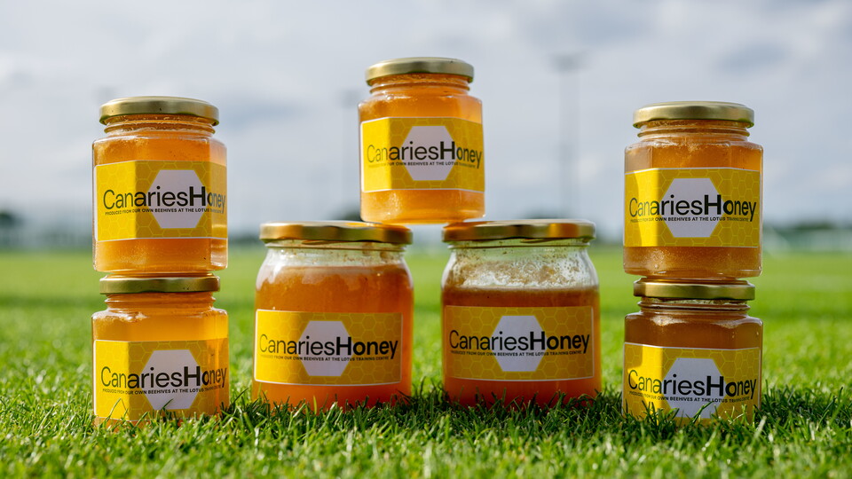 pots of honey