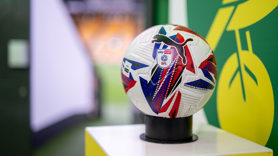 EFl football on stand