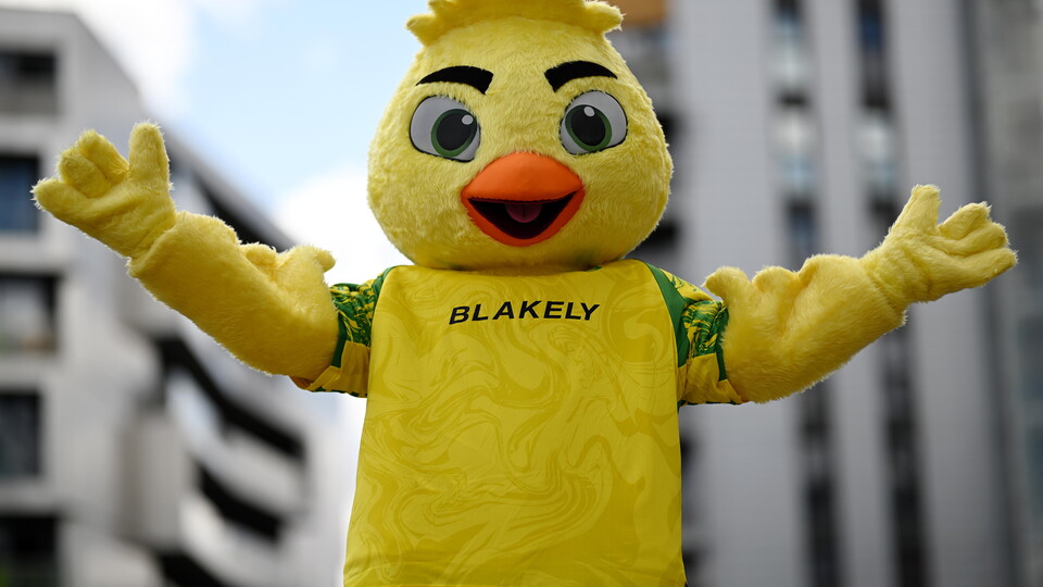 Captain Canary