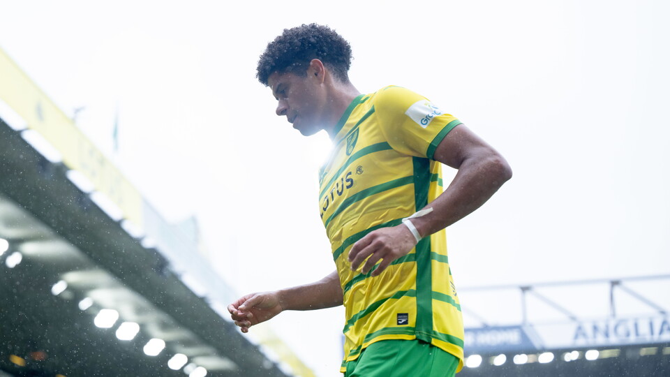 Norwich City head coach David Wagner and midfielder Gabriel Sara have been nominated for the Sky Bet Championship monthly awards.