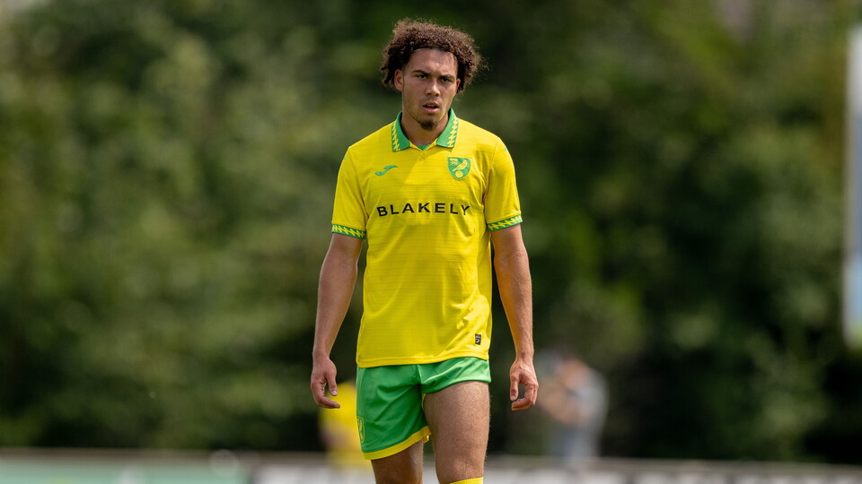 Norwich City Under-21 players Damari Daley and Tyler Williams have joined Isthmian League North Division side Wroxham on short-term loan deals.