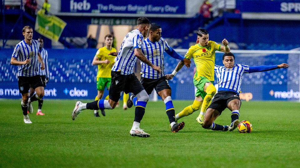 Norwich City have lost consecutive league games for the first time this season, going down 2-0 to Sheffield Wednesday at Hillsborough.