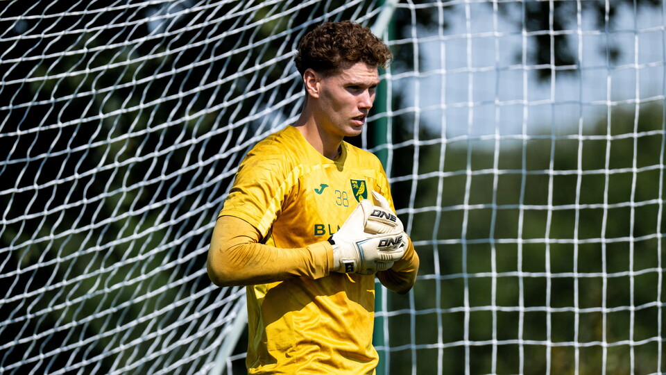 Norwich City goalkeeper Dan Barden has joined Enterprise National League South side Dagenham & Redbridge on loan until January.