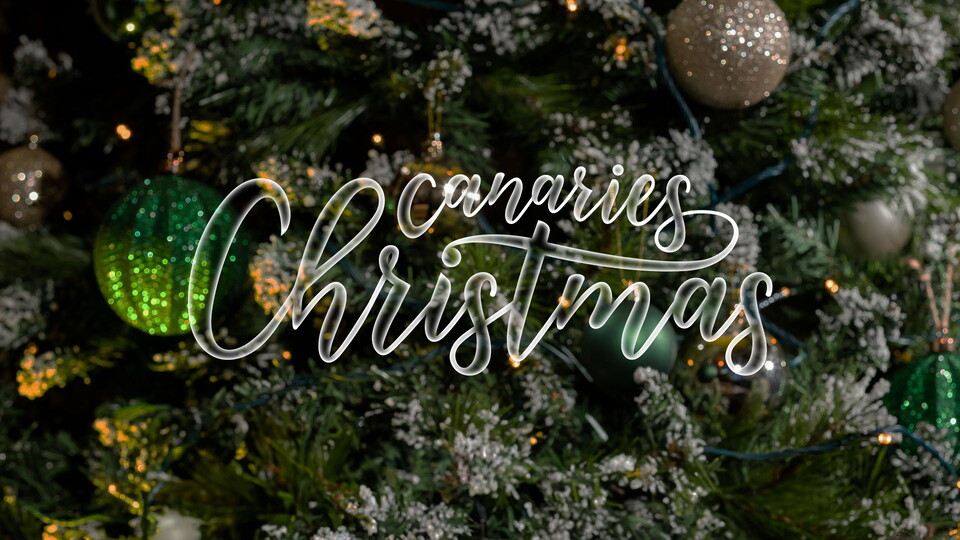 Get ready for the festive season with our official Norwich City Christmas gift guide, perfect for all Canary fans.