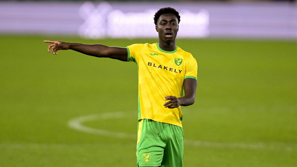Norwich City Under-18s scored twice late on to rescue a 2-2 draw at home to Leicester City in the Under-18 Premier League South.