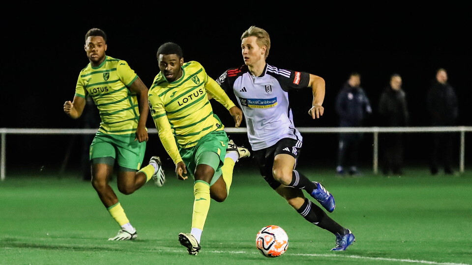 Late goals from Pedro Lima and Joe Duffy earned Norwich City Under-21s a point in a 3-3 draw at home to Fulham.