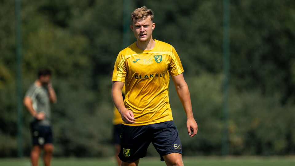 Norwich City Under-21s midfielder Harry Brooke has joined Enterprise National League South side Hornchurch on loan.