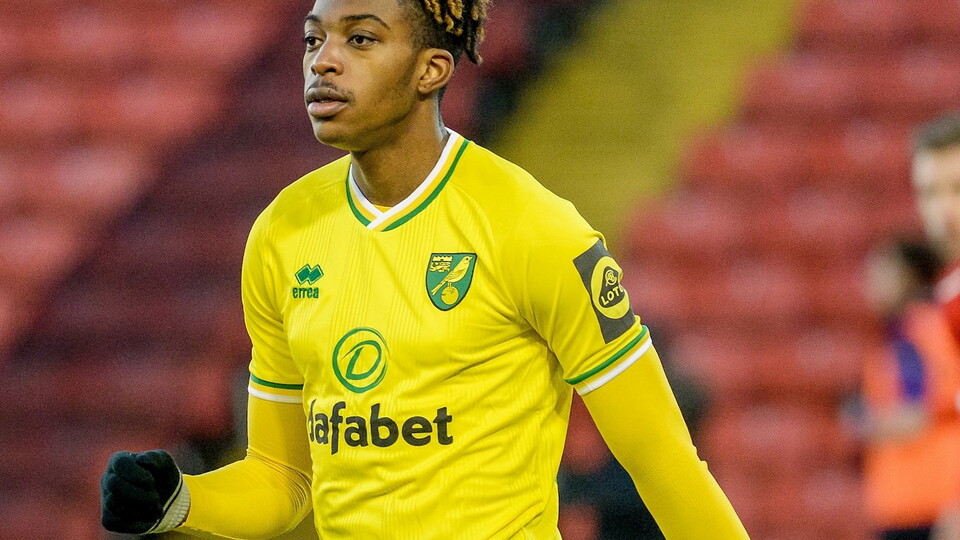 Norwich City striker Tyrese Omotoye has completed a loan move to Swindon Town for the rest of the season.