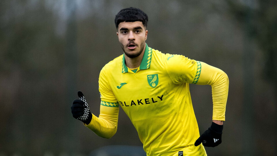 Norwich City Under-21s face their Tottenham Hotspur counterparts at the Lamex Stadium in Premier League 2 on Friday night.
