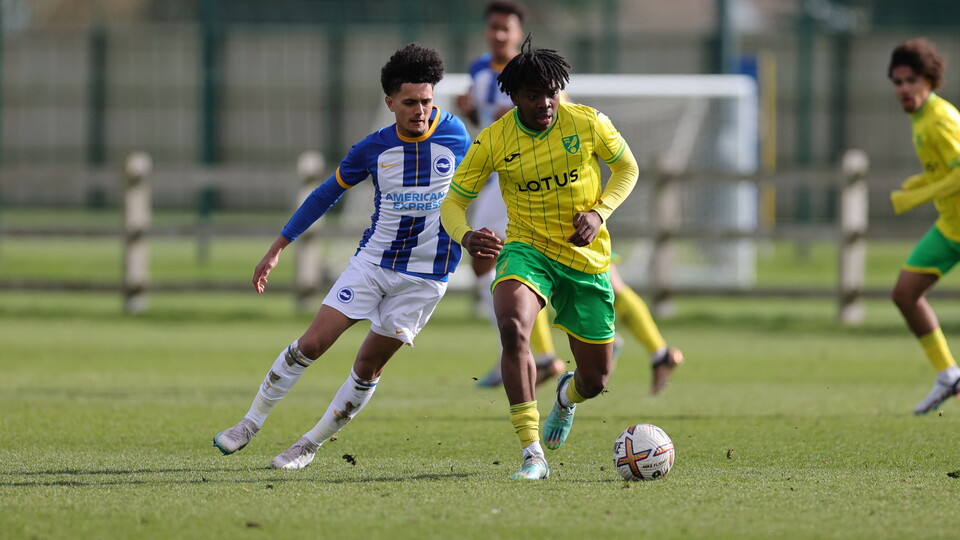Norwich City Under-18s suffered a defeat at Brighton and Hove Albion in the Under-18 Premier Legaue due to a late goal from Harry Howell.