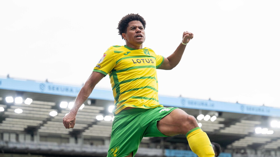 Norwich City ended their run of three consecutive defeats with a 2-0 win against Birmingham City at Carrow Road.