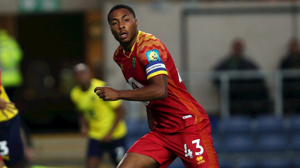 Norwich City defender Akin Famewo has completed a season-long loan move to Charlton Athletic for 2020-21.