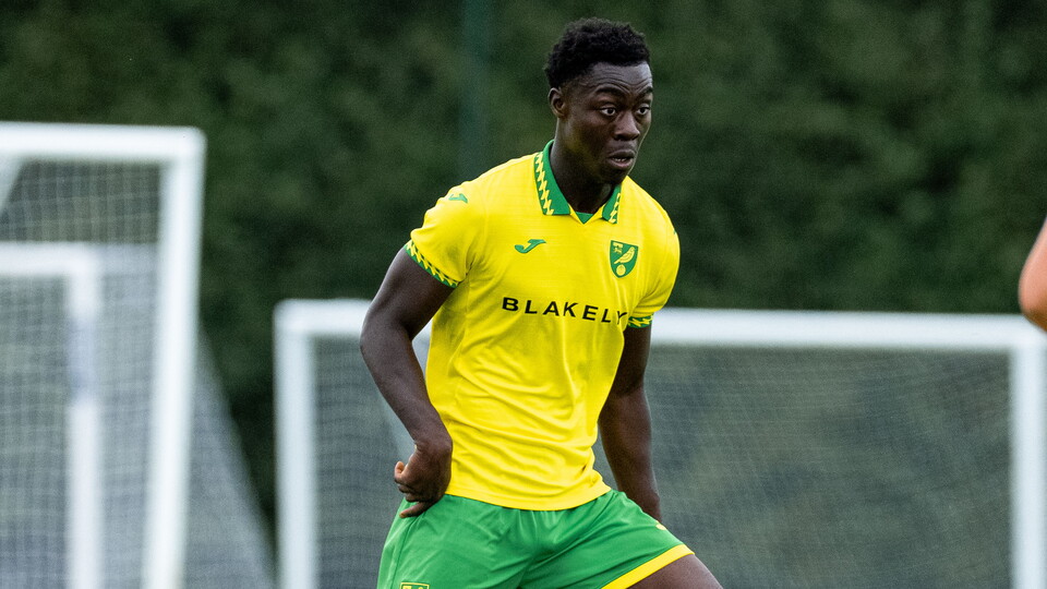 Norwich City Under-21s player Lloyd Ofori-Manteaw has joined Isthmian League North Division side Lowestoft Town on a short-term loan.