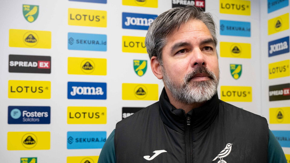 Head coach David Wagner was pleased with the effort across all areas of Norwich City's game plan after beating West Brom 2-0 at home.