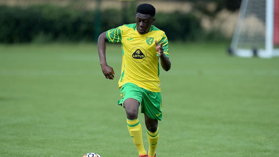 Norwich City Under-18s lost 1-2 at home today following a late winner from mid-table Fulham in the Under 18 League South.