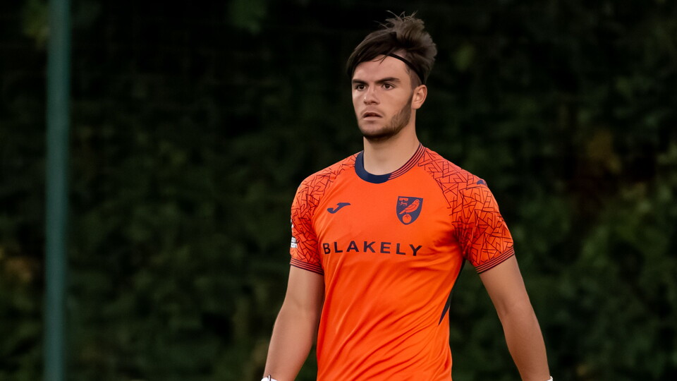 Norwich City Under-21s players La'Sean Sealey and Luis Lines have made respective short-term loan moves, making their first steps into senior football.