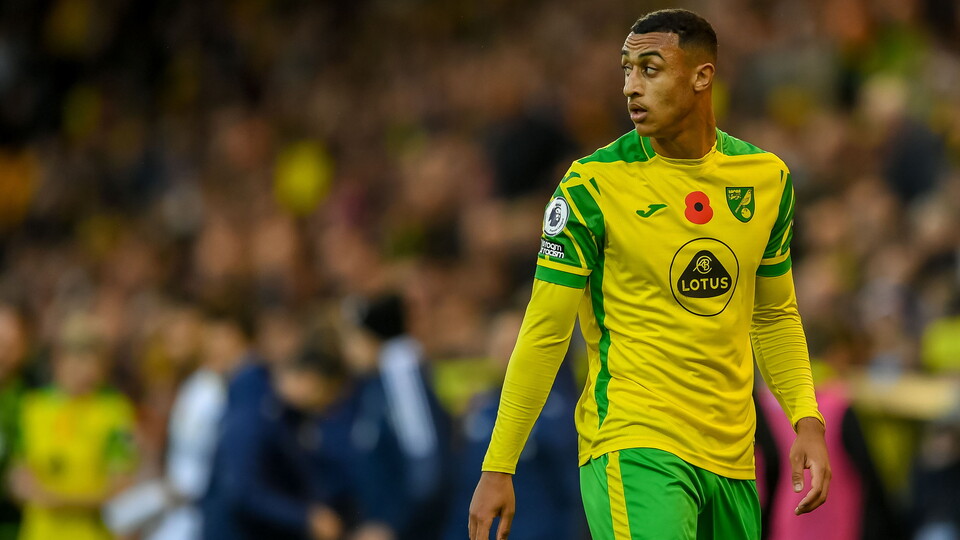 Norwich City duo Adam Idah and Andrew Omobamidele have both been called up to the Republic of Ireland squad for their upcoming World Cup qualifiers.