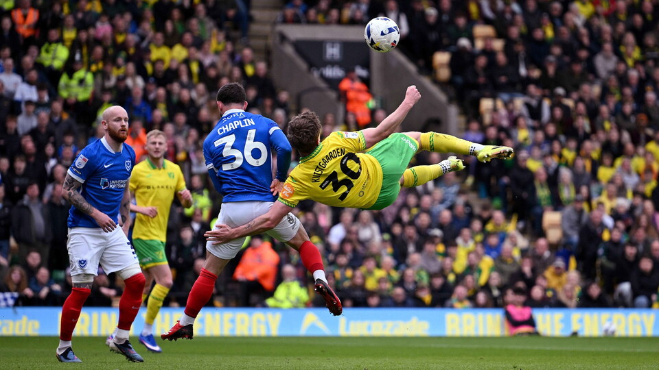 View the best snaps from Norwich City's point at home to Portsmouth on Friday afternoon.