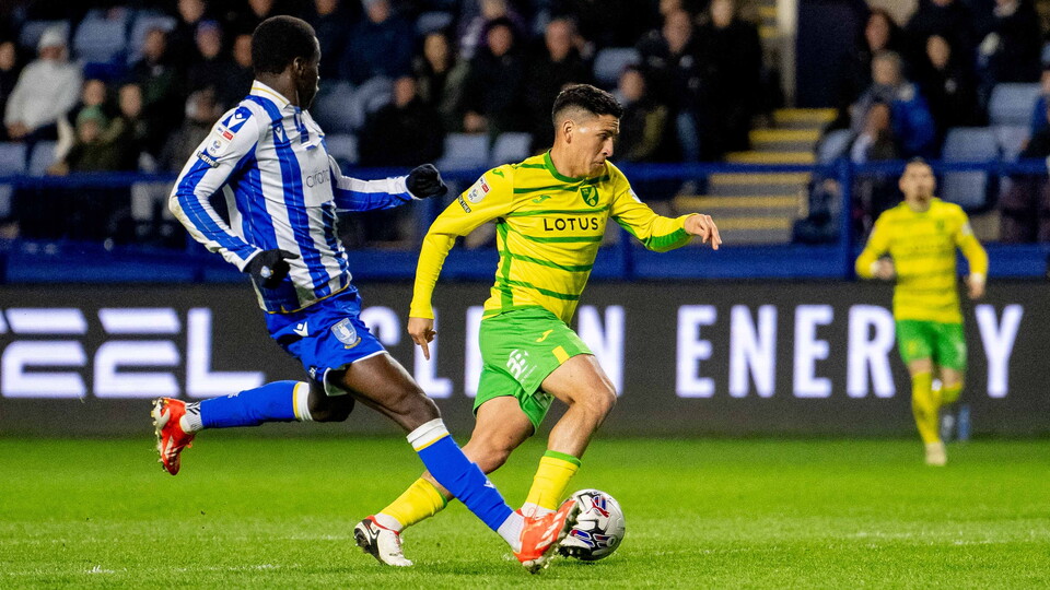 Norwich City had to settle for a share of the spoils at Hillsborough as a late Sheffield Wednesday comeback rescued a point for the hosts.