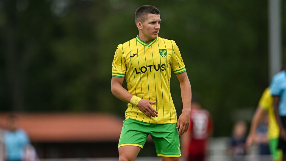 Norwich City winger Christos Tzolis has joined Dutch side FC Twente on loan for the 2022/23 season.
