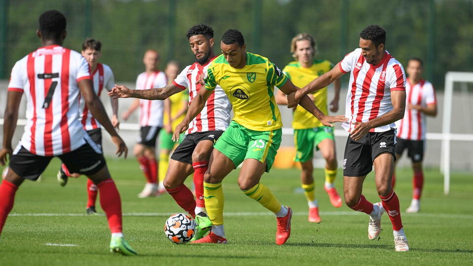 Norwich City recorded their second win of pre-season at home to Lincoln City as a late goal from new signing Pierre Lees-Melou settled the match.