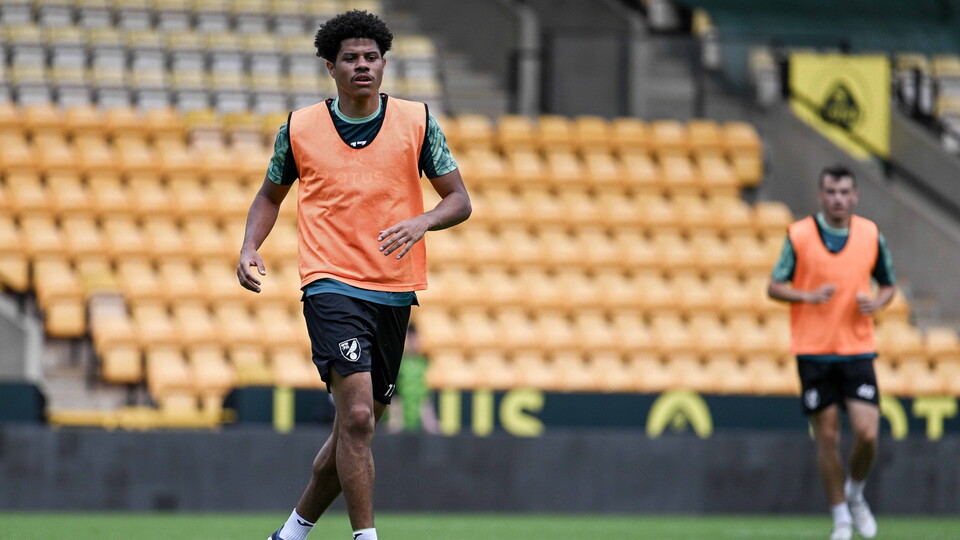 Norwich City summer signings Gabriel Sara and Marcelino Núñez could make their debuts for the club in this weekend’s Sky Bet Championship game at home to Wigan Athletic.