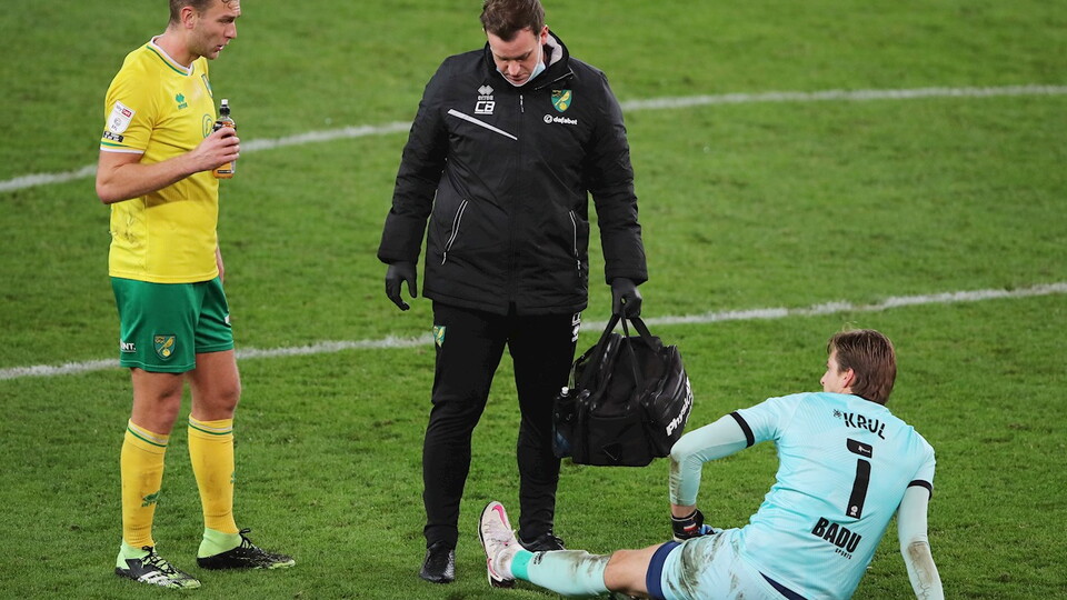 Teemu Pukki and Tim Krul have been added to Norwich City's lengthy injury list ahead of Saturday's game against Coventry City.