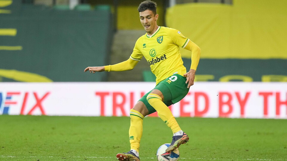 At the age of 25, Dimitris Giannoulis has joined Norwich City on loan in a deal that could become permanent in the summer. He has won the Greek Super League and Greek Cup with PAOK, his parent club, and has represented his country.
