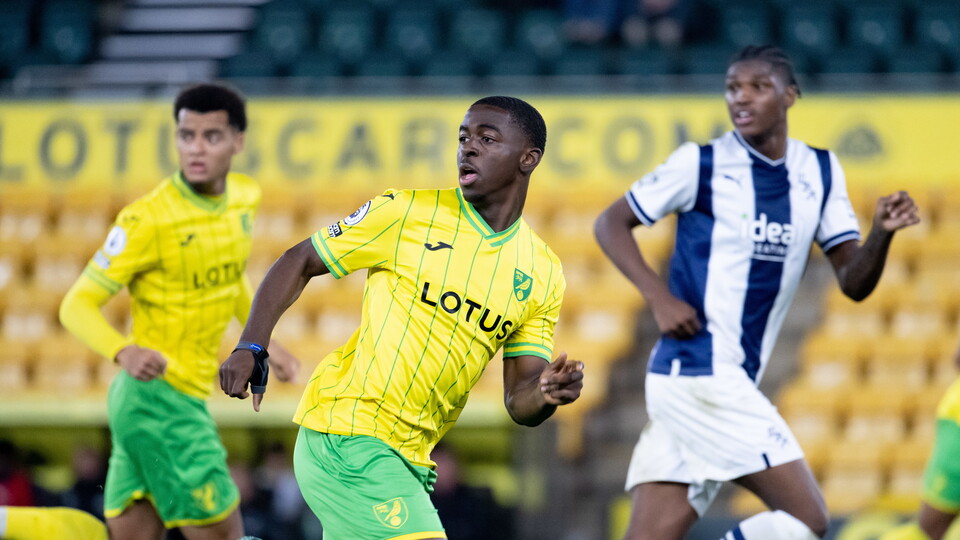 Norwich City Under-18s' fixture away to Tottenham Hotspur tomorrow (Saturday, 29 October) has been postponed.