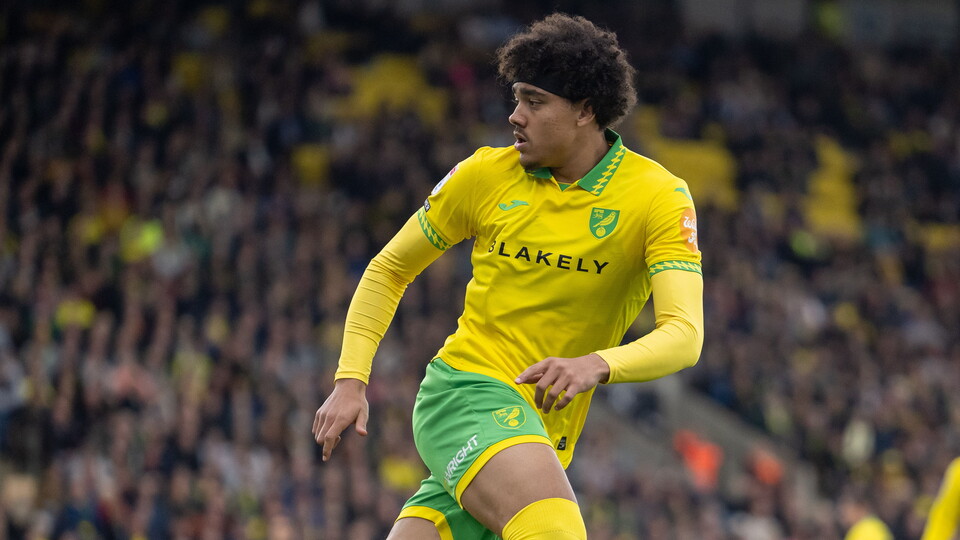 After back-to-back away games, Norwich City return to Carrow Road with the visit of Hull City on Saturday, November 1 (KO 12.30pm).