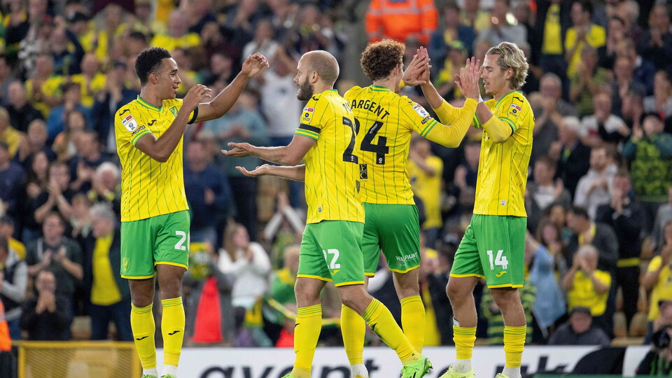 Teemu Pukki netted twice to help Norwich seal a sixth win in a row and keep the Canaries up in second place.