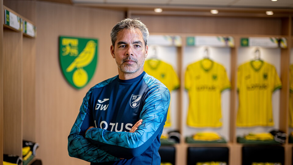 Norwich City have appointed David Wagner as head coach of the first team, with the German set to take charge of his first game on Sunday against Blackburn Rovers in the FA Cup.
