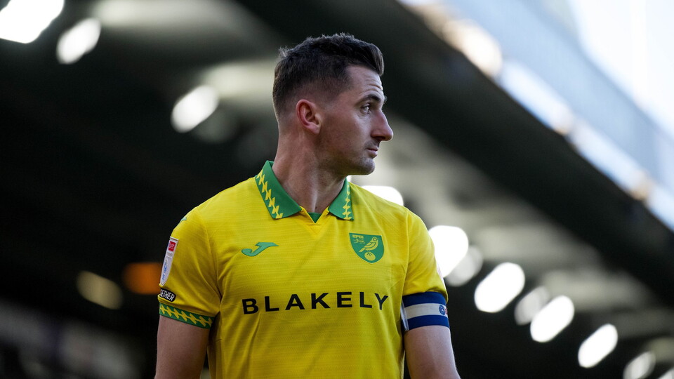 Eight Norwich City players are in action representing their countries over the March international break.