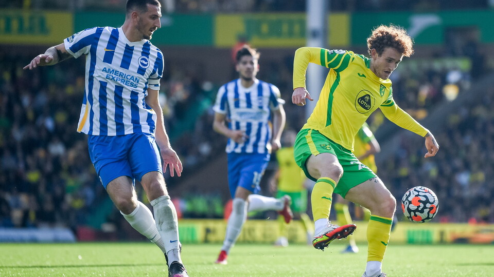 Norwich City were unlucky not to get all three points at home to Brighton & Hove Albion.