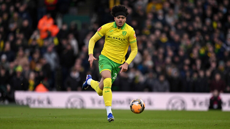 Fixture details for Norwich City's Emirates FA Cup fourth round tie against West Bromwich Albion has now been confirmed.