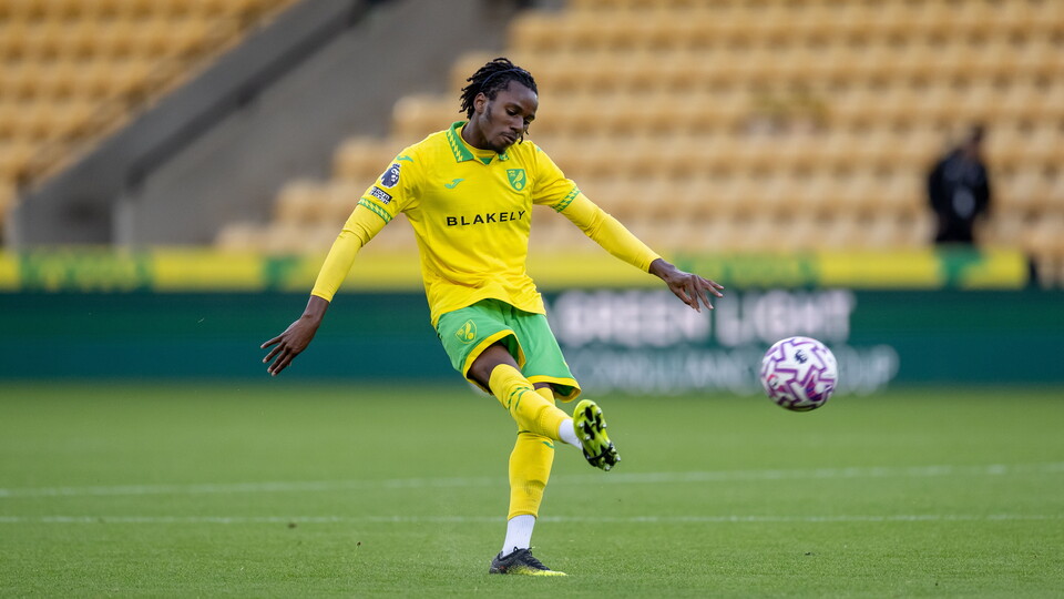 Norwich City Under-21s players Brandon Forbes and Harmony Okwumo have joined Enterprise National League North side King's Lynn Town on short-term loans.