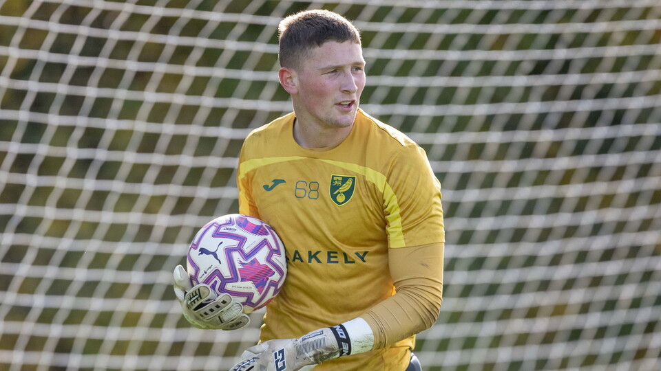 Norwich City goalkeeper Ethan Binnie has joined Isthmian League Premier Division side Cray Wanderers on a short-term loan.