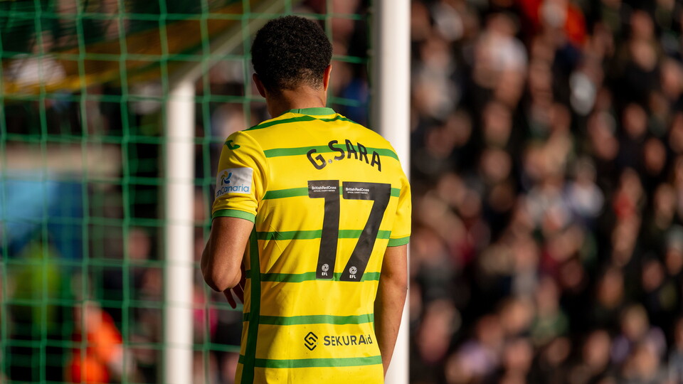 Norwich City duo David Wagner and Gabriel Sara have been nominated for the Sky Bet Championships monthly awards for March.