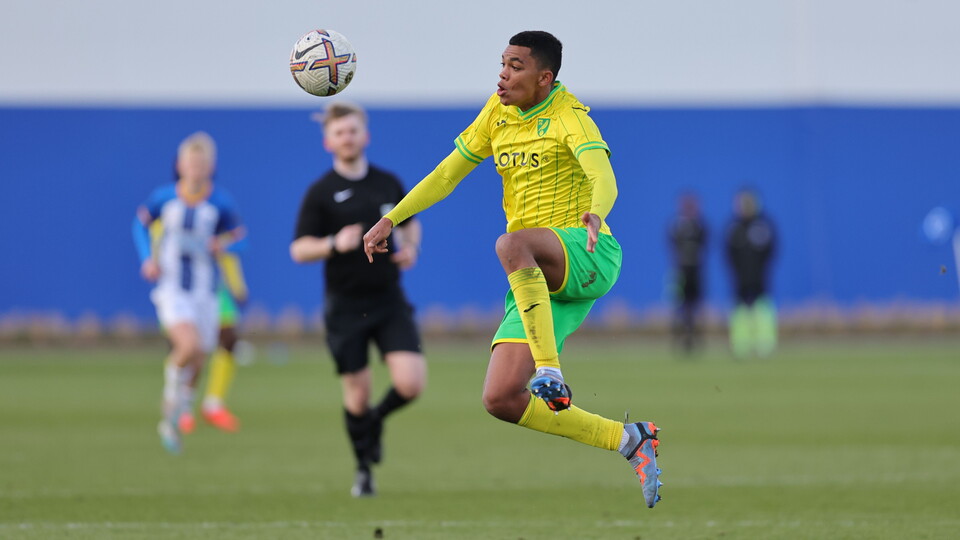Norwich City Academy defender Waylon Renecke has been called up to South Africa's squad for the upcoming Under-17 Africa Cup of Nations tournament.