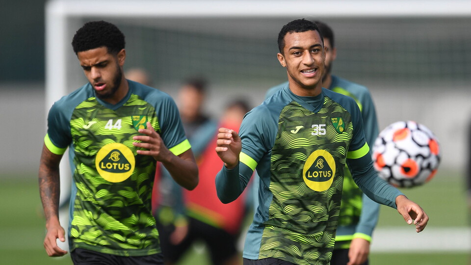 Norwich City’s Adam Idah and Andrew Omobamidele have both been called up by the Republic of Ireland for their World Cup qualifying match against Azerbaijan.