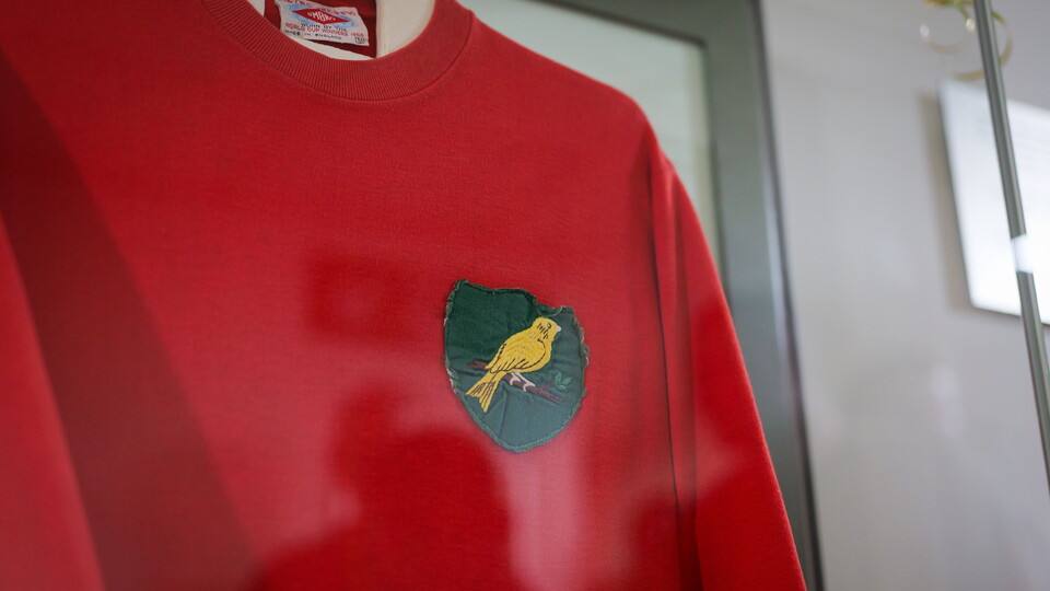 A shirt worn by Duncan Forbes on the night Norwich City secured their place in the top tier for the first time in their history has been unveiled by the Norwich City Football Club Historical Trust.