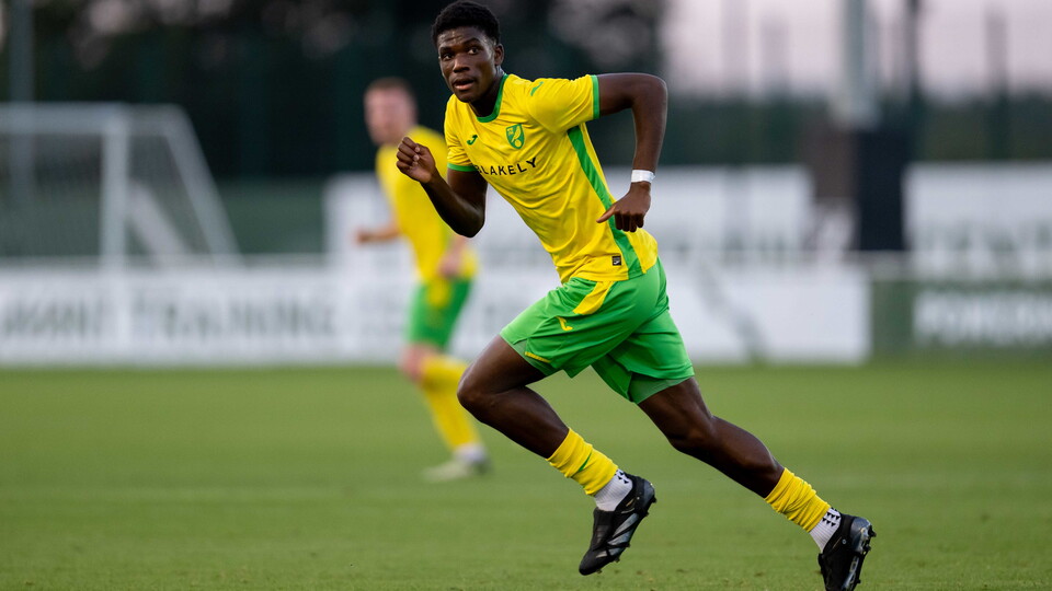 Norwich City Under-21s' upcoming fixture against Chelsea in the Premier League 2 will now be played at the Avant Training Centre instead of Carrow Road.